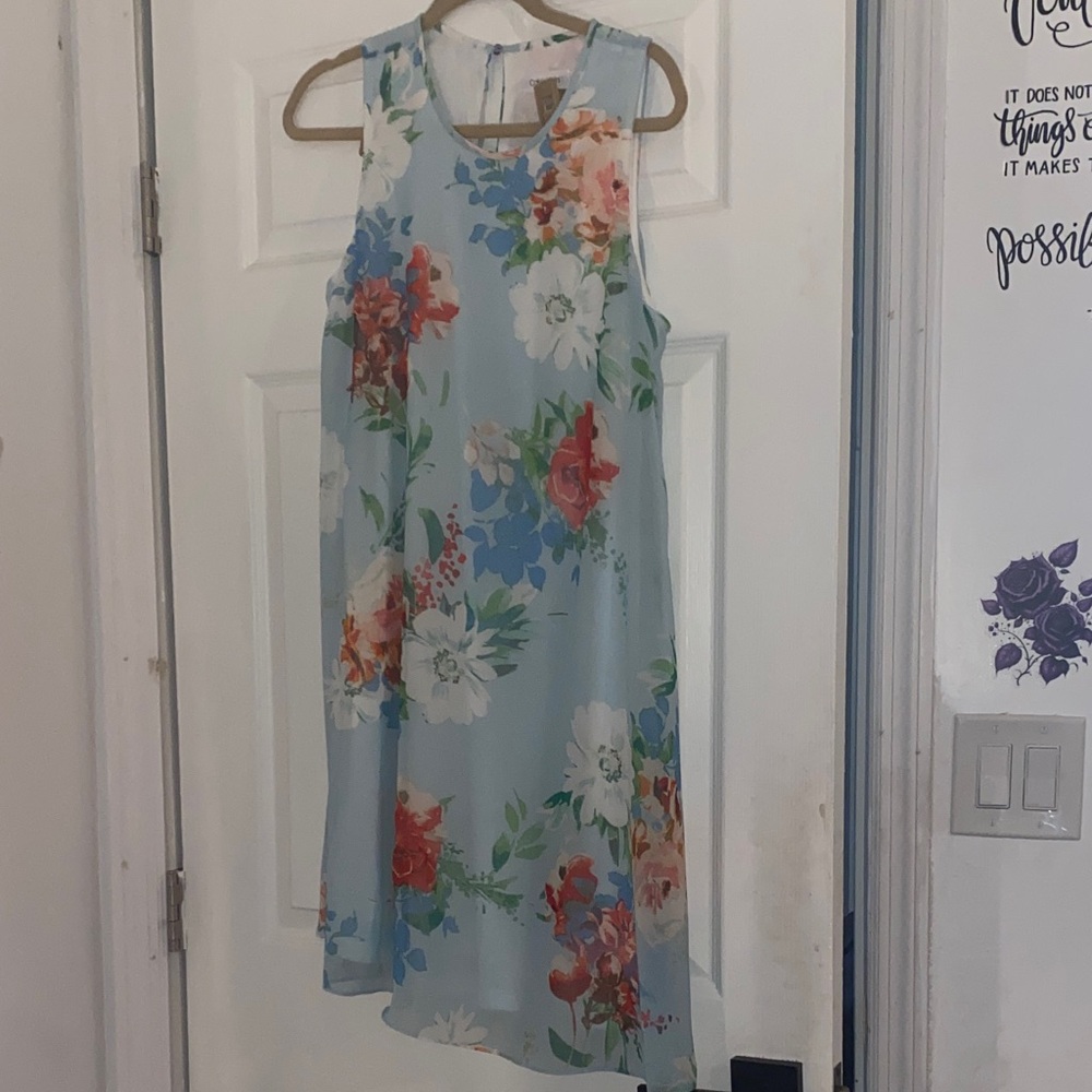 Calvin Klein Floral Sleeveless Dress - Blue and Multicolor